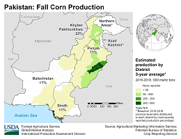 images\PK\seasonalmap\Pakistan_Fall_Corn_preview.png
